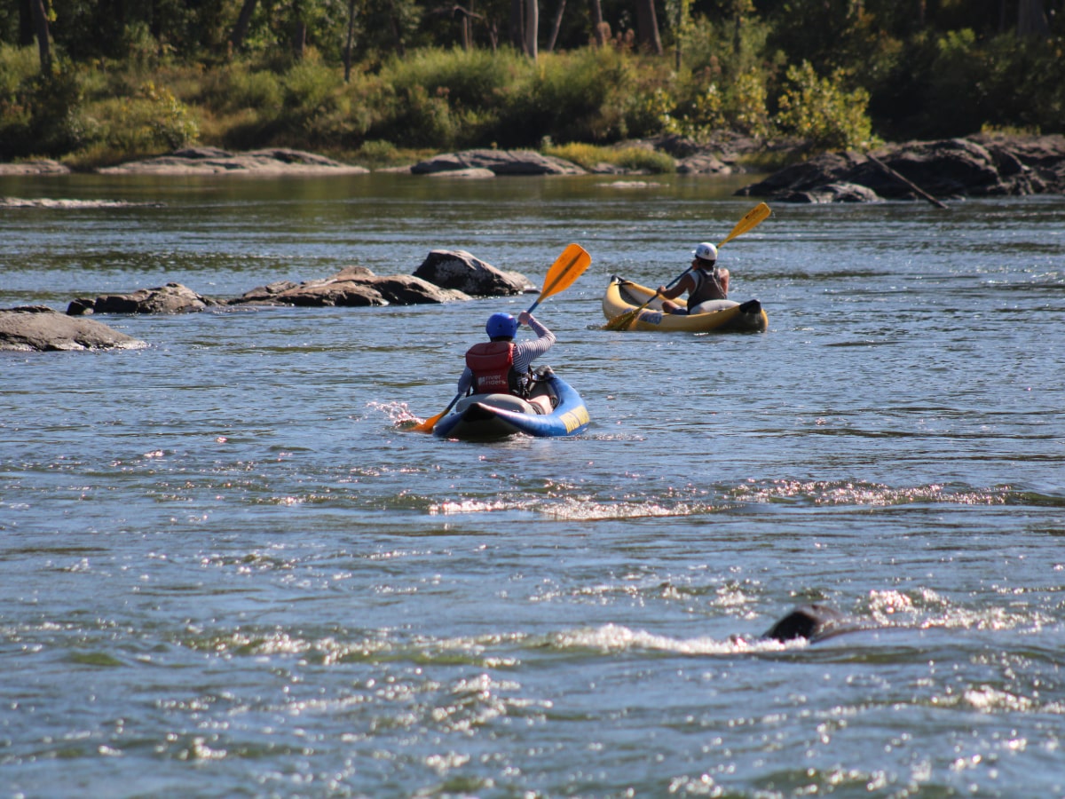 two people on inflatable kayaks on the Potomac river