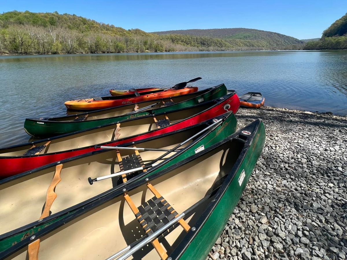 green and red canoes on the shore of a lake